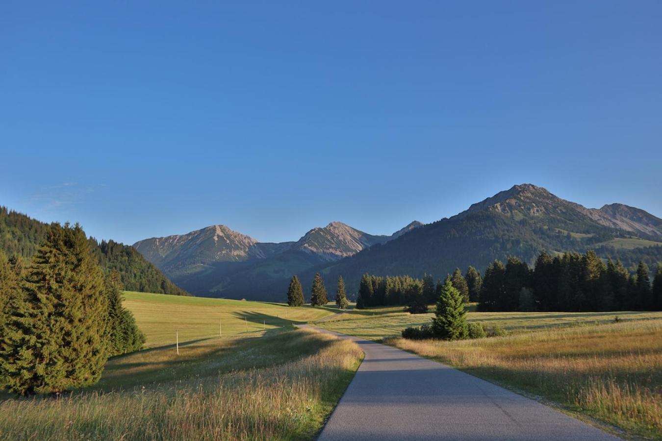 Ruhehotel & Naturresort Rehbach - Adults Only Schattwald Exterior foto
