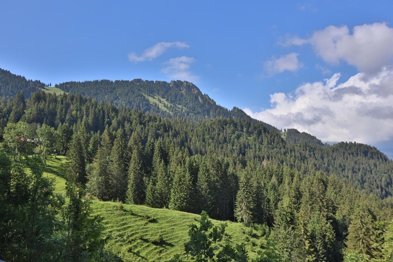 Ruhehotel & Naturresort Rehbach - Adults Only Schattwald Exterior foto